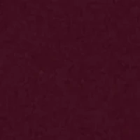 Modern Seamless Lace Trim Brief Underwear