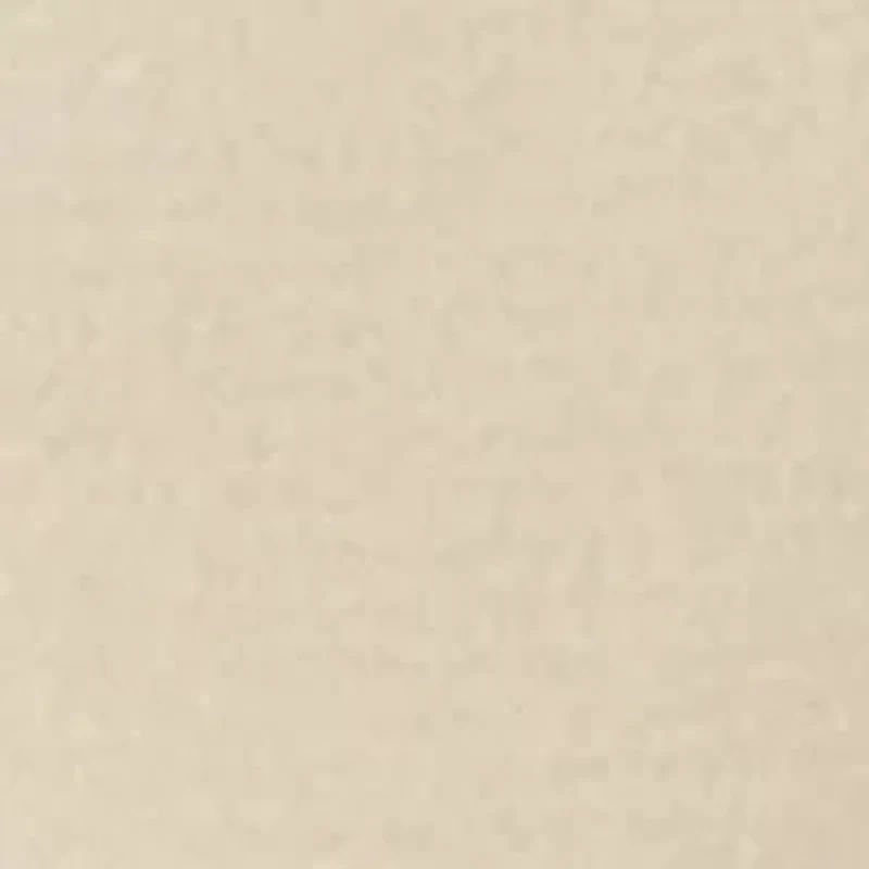 Modern Seamless Lace Trim High Cut Underwear