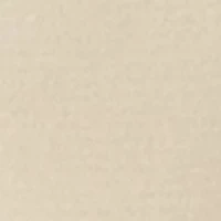 Modern Seamless Lace Trim High Cut Underwear