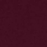 Modern Seamless Lace Trim High Cut Underwear