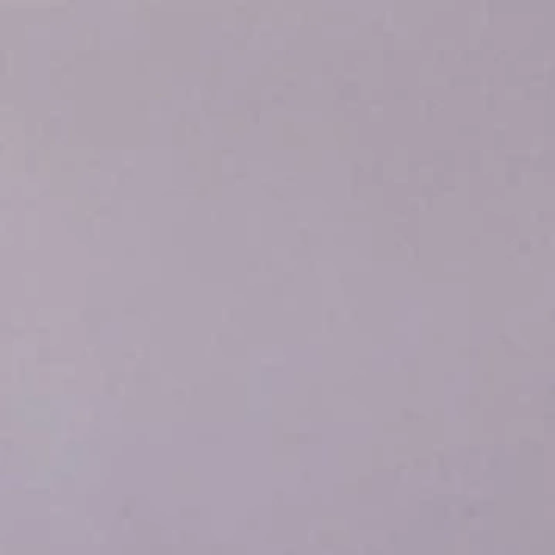 Passion for Comfort Lace Briefs