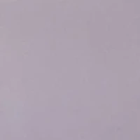 Passion for Comfort Lace Briefs