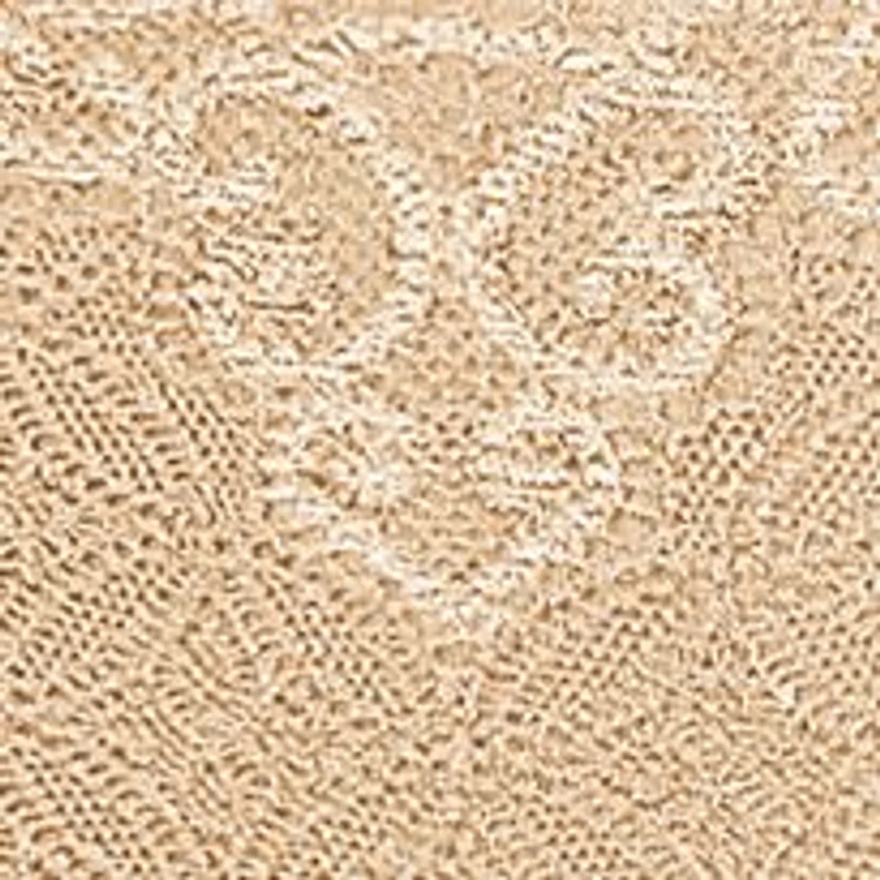 Passion for Comfort Lace Briefs