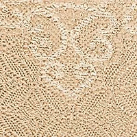 Passion for Comfort Lace Briefs