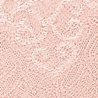 Passion for Comfort Lace Briefs