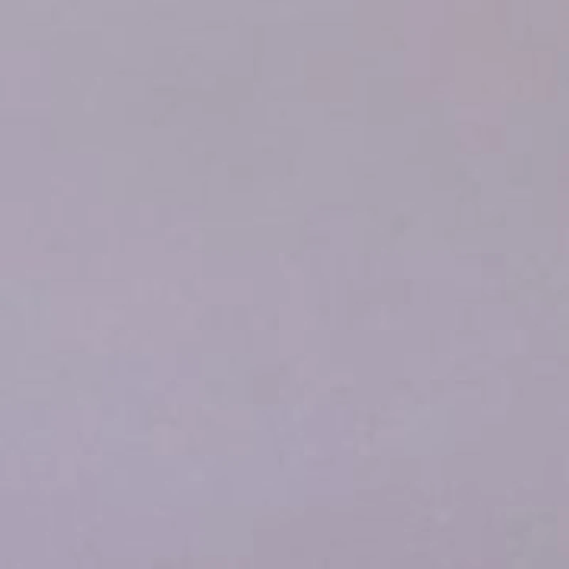 Passion for Comfort Lace Hi Cut Panty