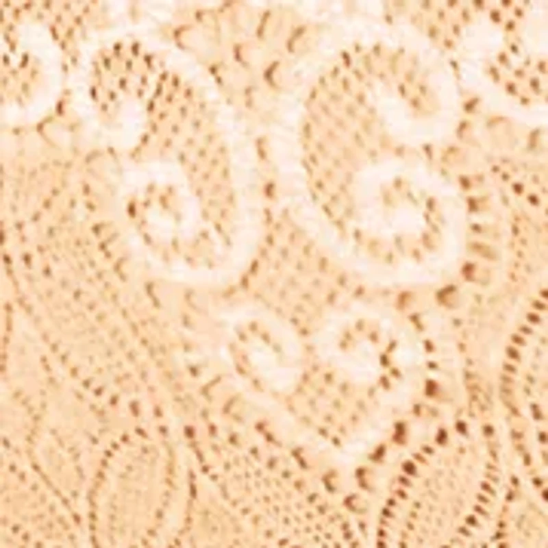 Passion for Comfort Lace Hi Cut Panty