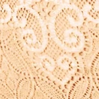 Passion for Comfort Lace Hi Cut Panty