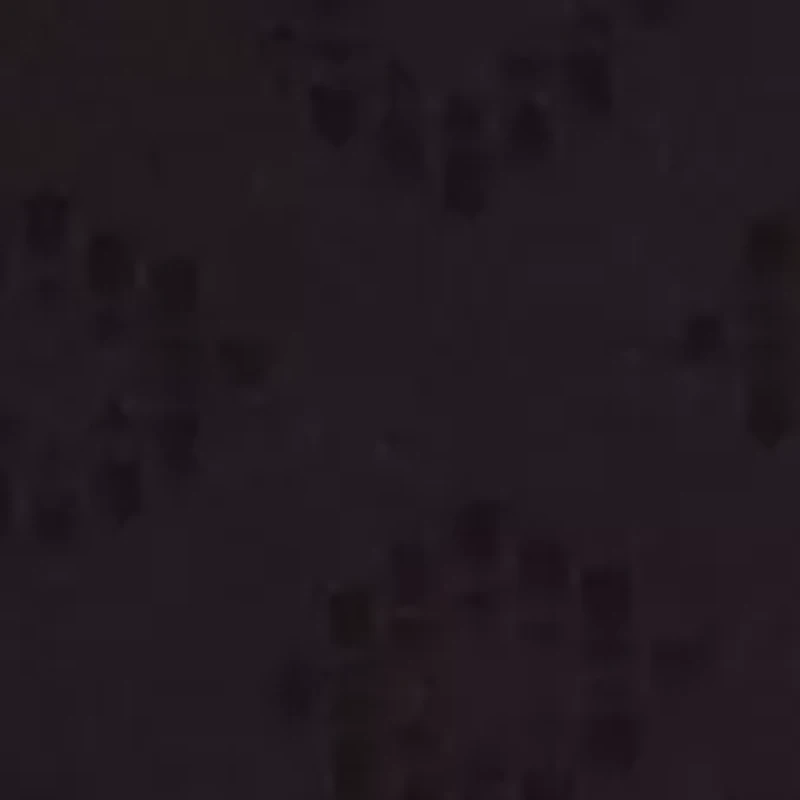 Beautifully Confident Seamless Light Leak & Period Protection Brief