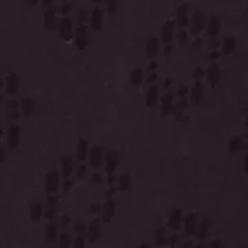 Beautifully Confident Seamless Light Leak & Period Protection Hi-Cut Underwear