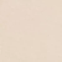 Elissa Strapless Bra- P5011