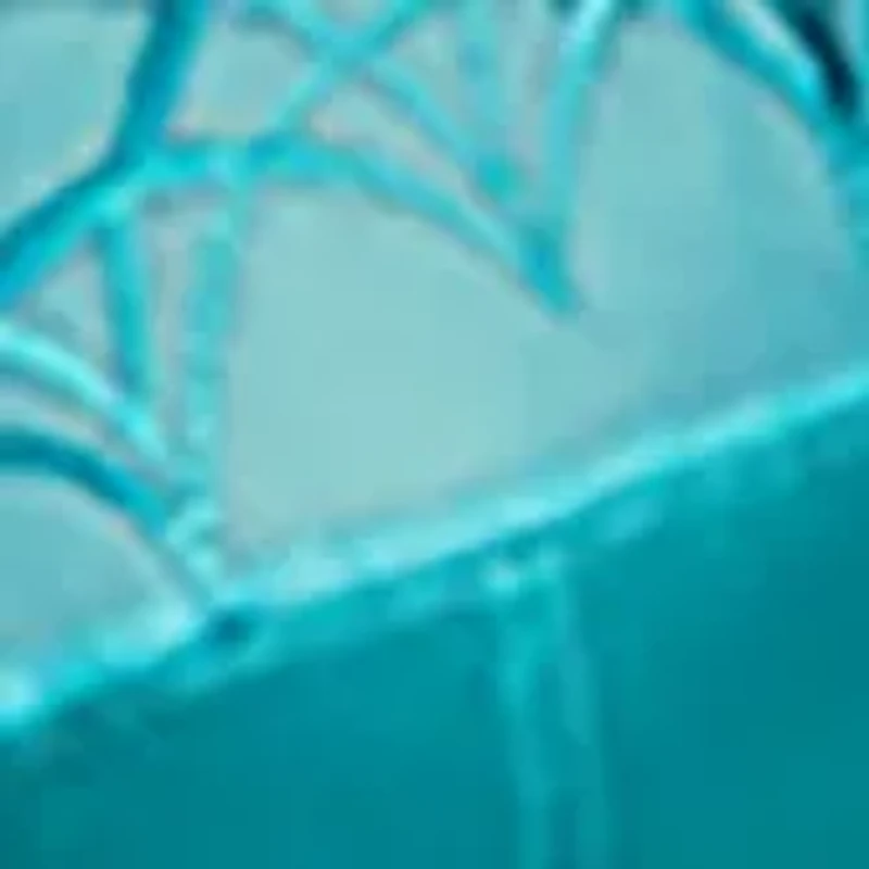 Matilda Underwire Plunge Bra