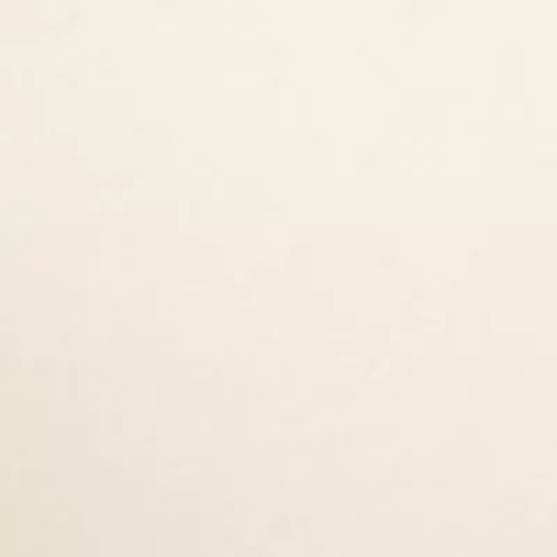 Lacee Contour Lace T Shirt Bra