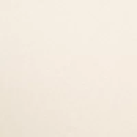 Lacee Contour Lace T Shirt Bra