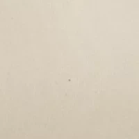 Tessa Lace Strapless Convertible Bra