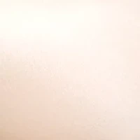 Plus Marlena Seamless T-Shirt Bra