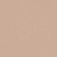 Rugby Tan High Waisted Thong