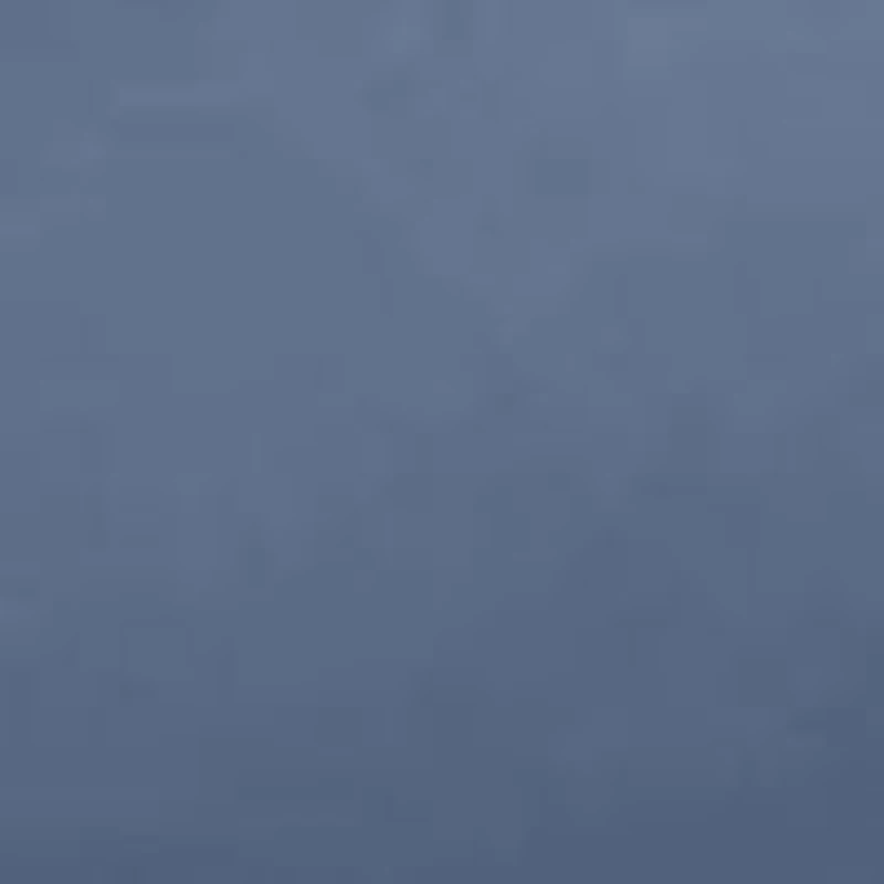 Second Skin Triangle Bralette