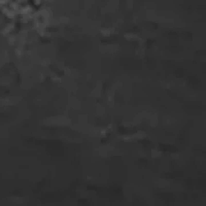 Lace Waist High Rise Brief Panty