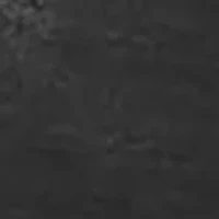 Lace Waist High Rise Brief Panty