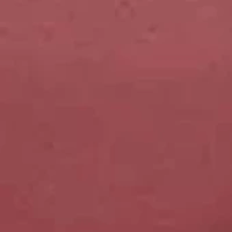 Second Skin Lace Briefs