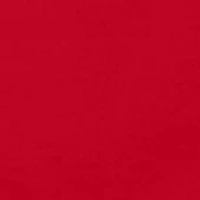 Second Skin Lace Thong