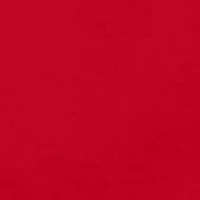 Second Skin Lace Thong