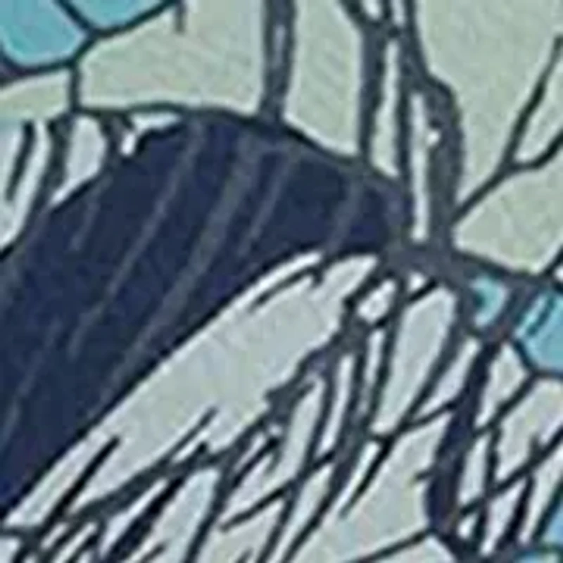 Second Skin Scoop Bralette