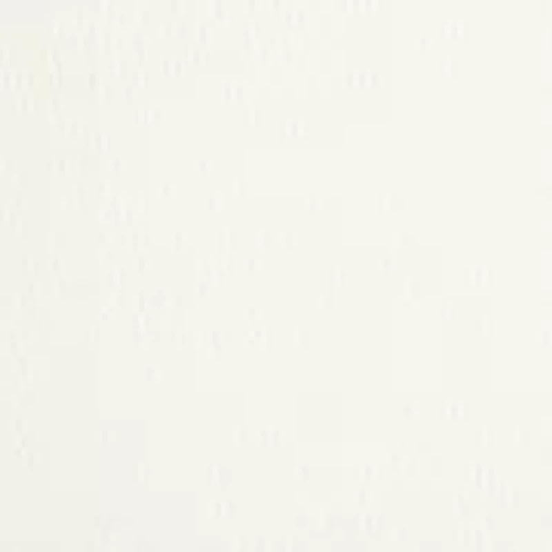 Second Skin Logo Hipster