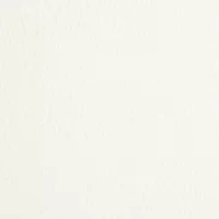 Second Skin Logo Hipster