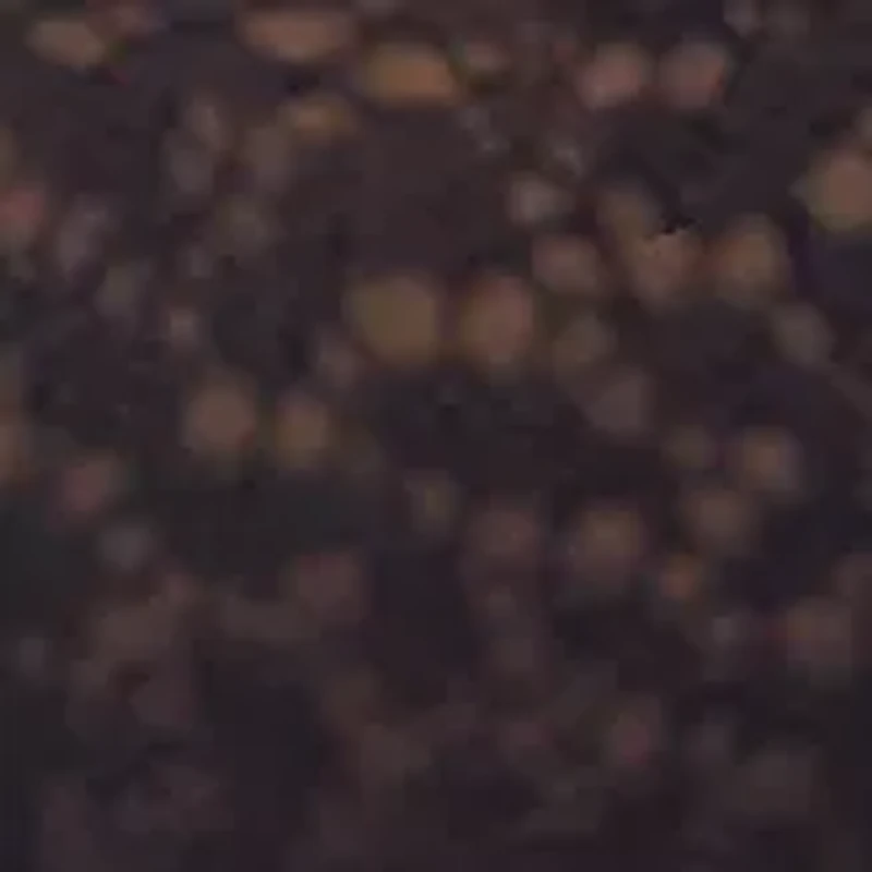 Modern Lace Unlined Strapless Bra