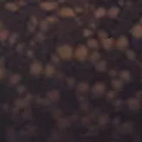 Modern Lace Unlined Strapless Bra