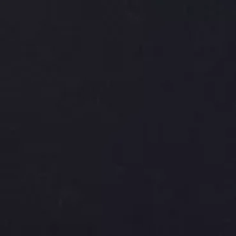 Seamless Litewear Bralette