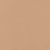 Seamless Litewear Bodysuit