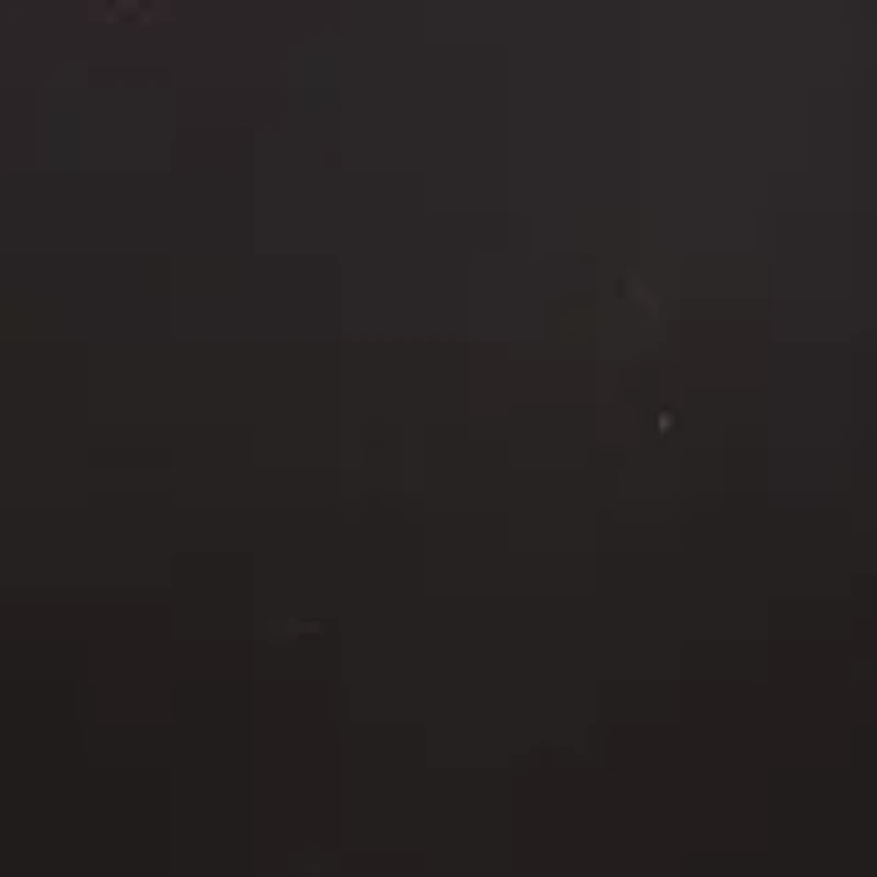 Litewear Wire Free Bra