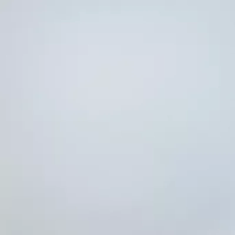 Litewear Wire Free Bra