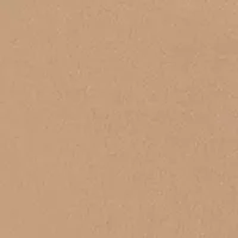 Seamless Litewear Thong