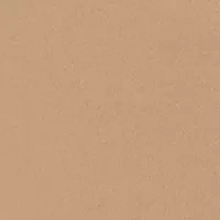 Seamless Litewear Thong