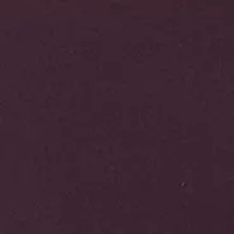 Seamless Litewear Thong