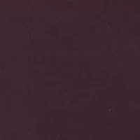 Seamless Litewear Thong