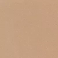 Seamless Litewear Bikini