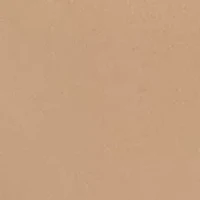 Seamless Litewear Hi-Cut Panty