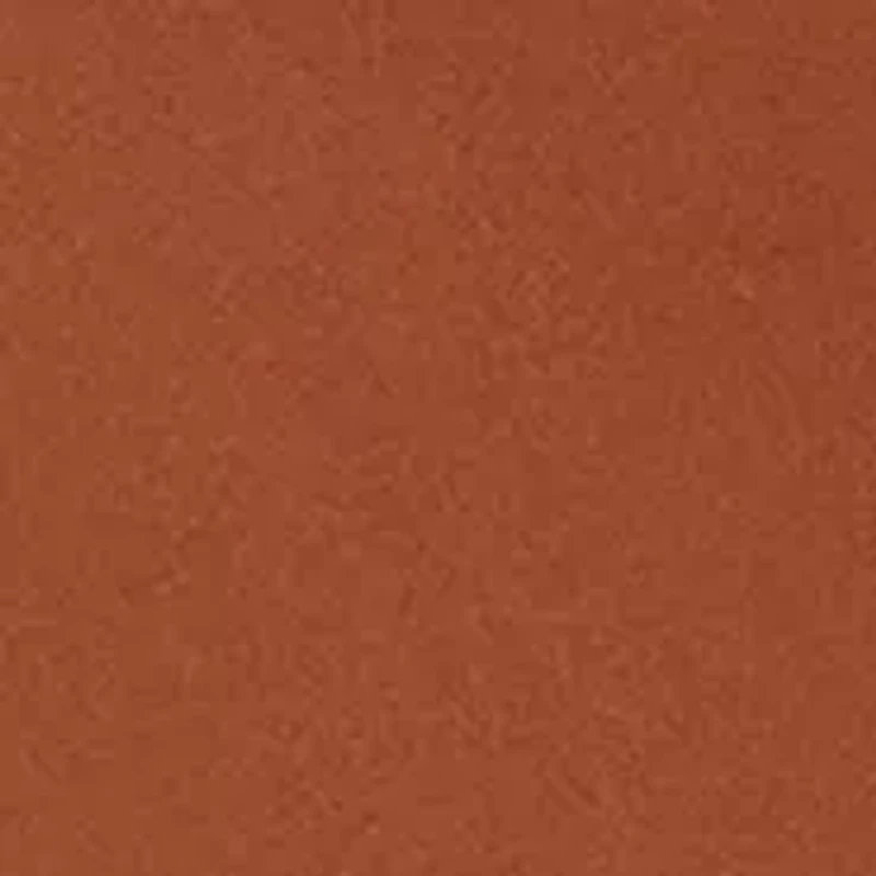 Seamless Litewear Hi-Cut Panty