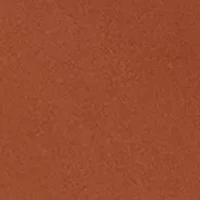 Seamless Litewear Hi-Cut Panty