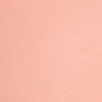 Bonded Cotton Unlined Underwire Bra