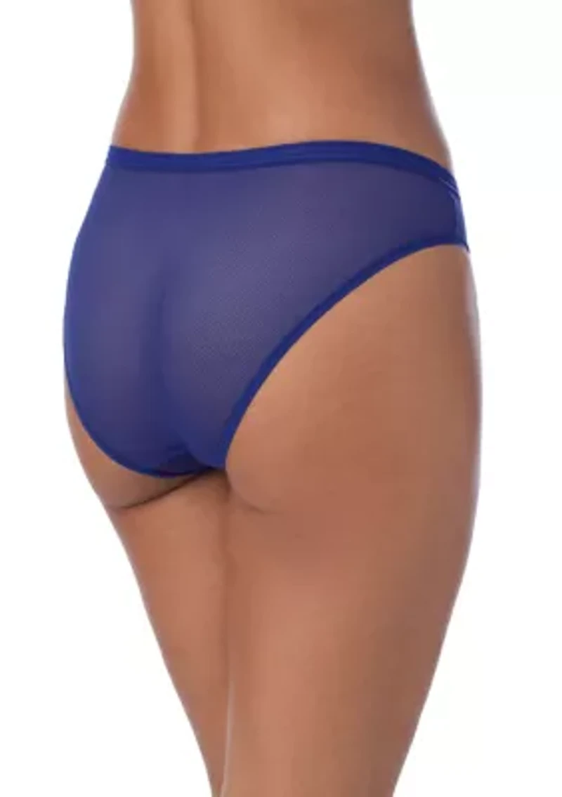 Sheer Striped Bikini Panty