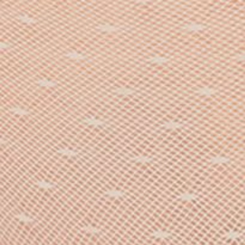 Point Desprit Mesh Bikini Panty