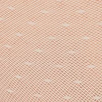 Point Desprit Mesh Bikini Panty