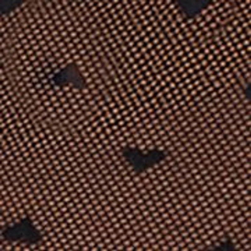 Women's Heart Mesh Bikini Panties