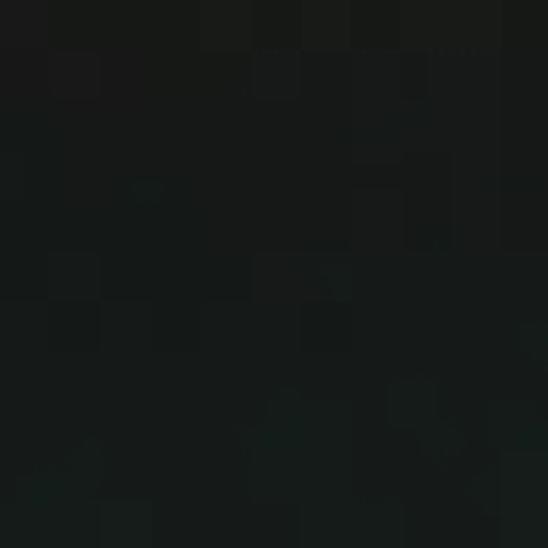 Side Zip Open Toe Knee Socks